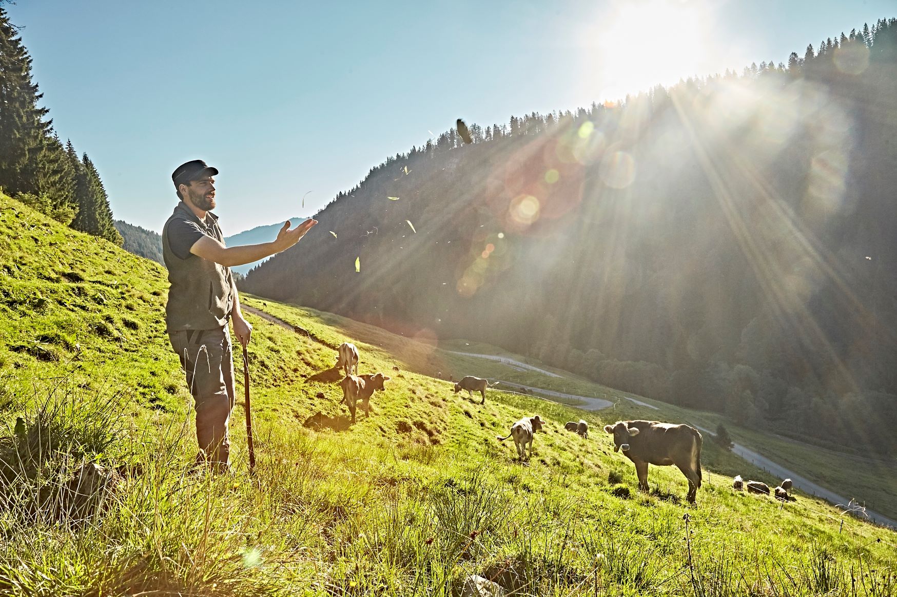 Servus auf tourismuswissen.bayern