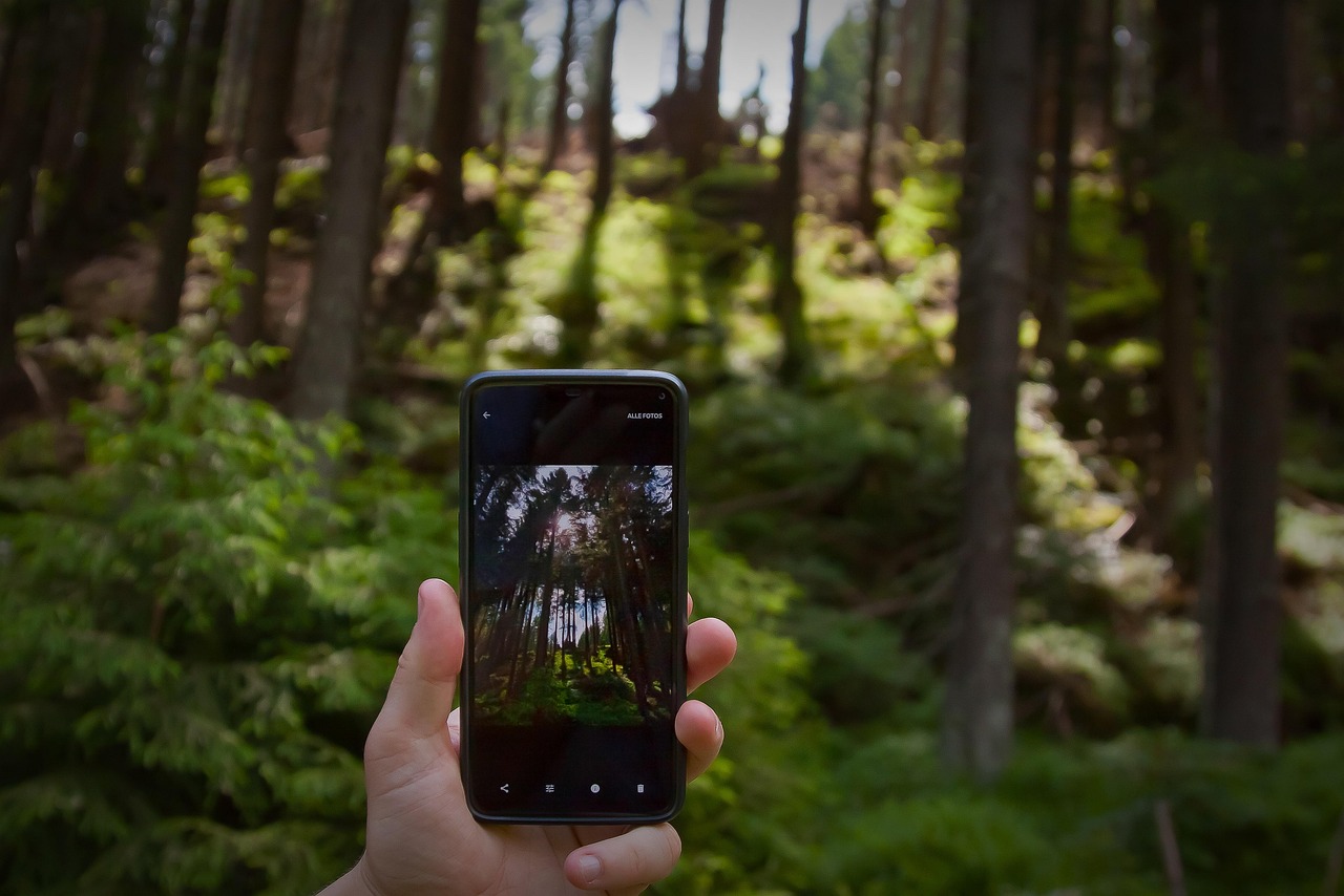 Fotografieren mit dem Smartphone